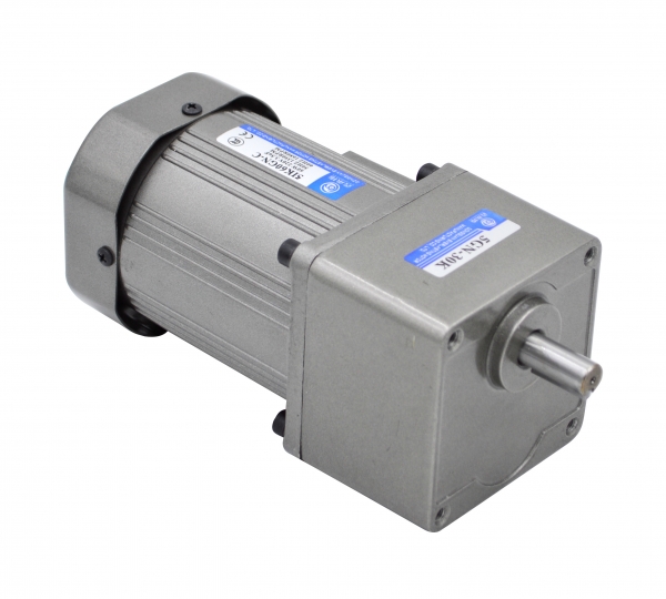 微型定速電機 微型定速電機