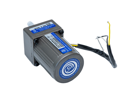 微型定速電機 微型定速電機