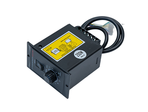 微型定速電機 微型定速電機