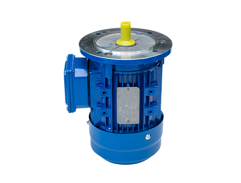 微型定速電機 微型定速電機